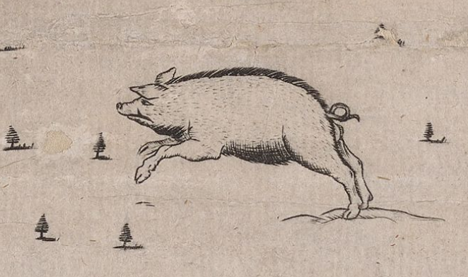 illustration of a pig running