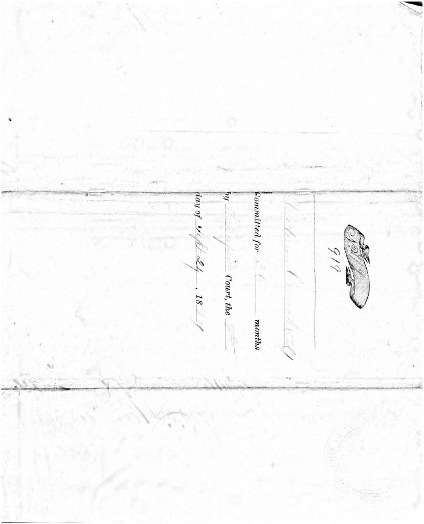 State of North Carolina vs. Henderson Crouch, 9 September 1874