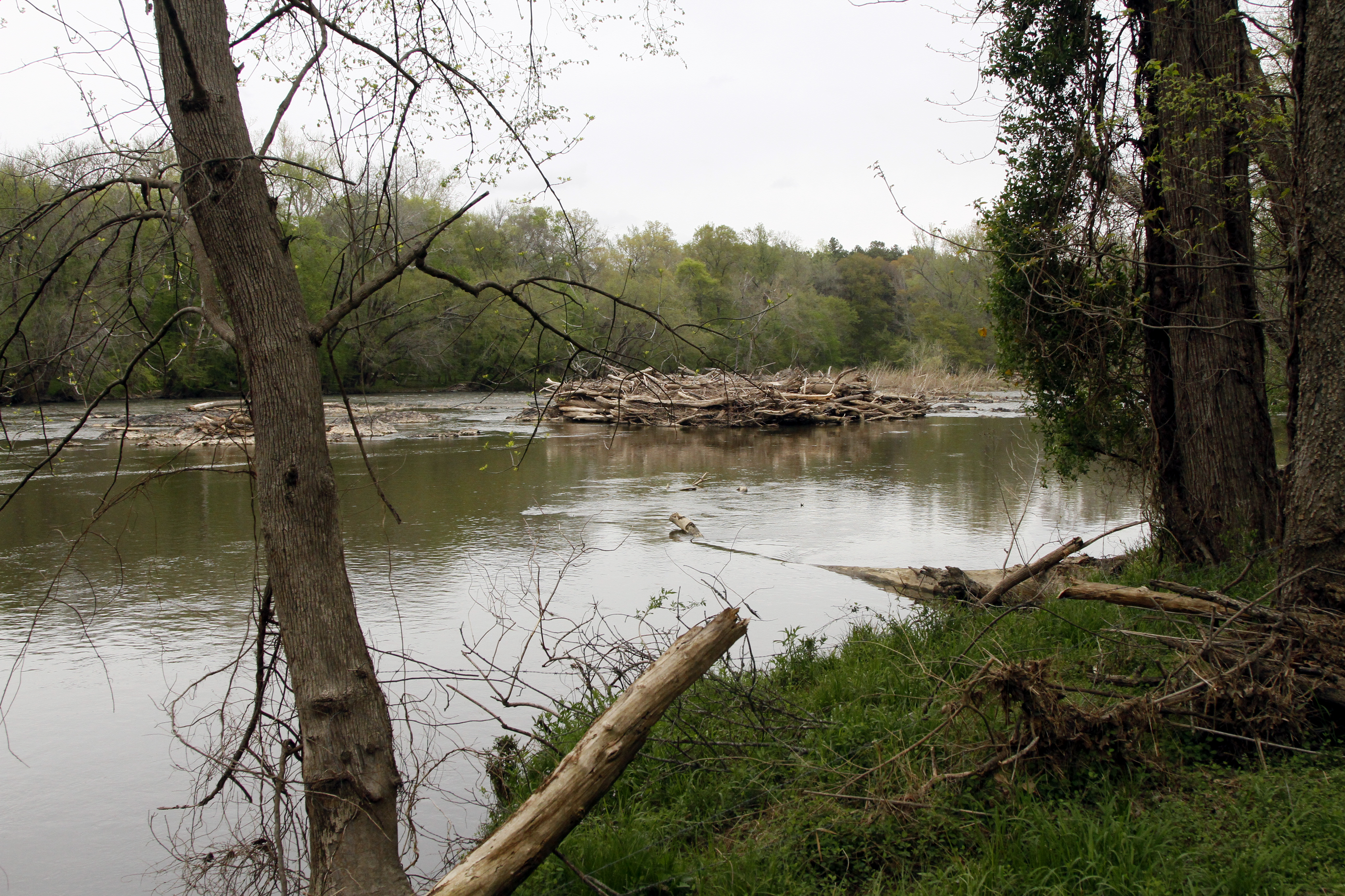Photograph of the Cape Fear River