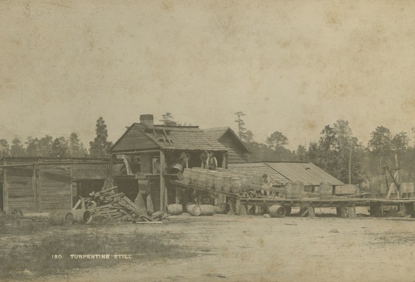 Photograph of a turpentine still, circa 1895.