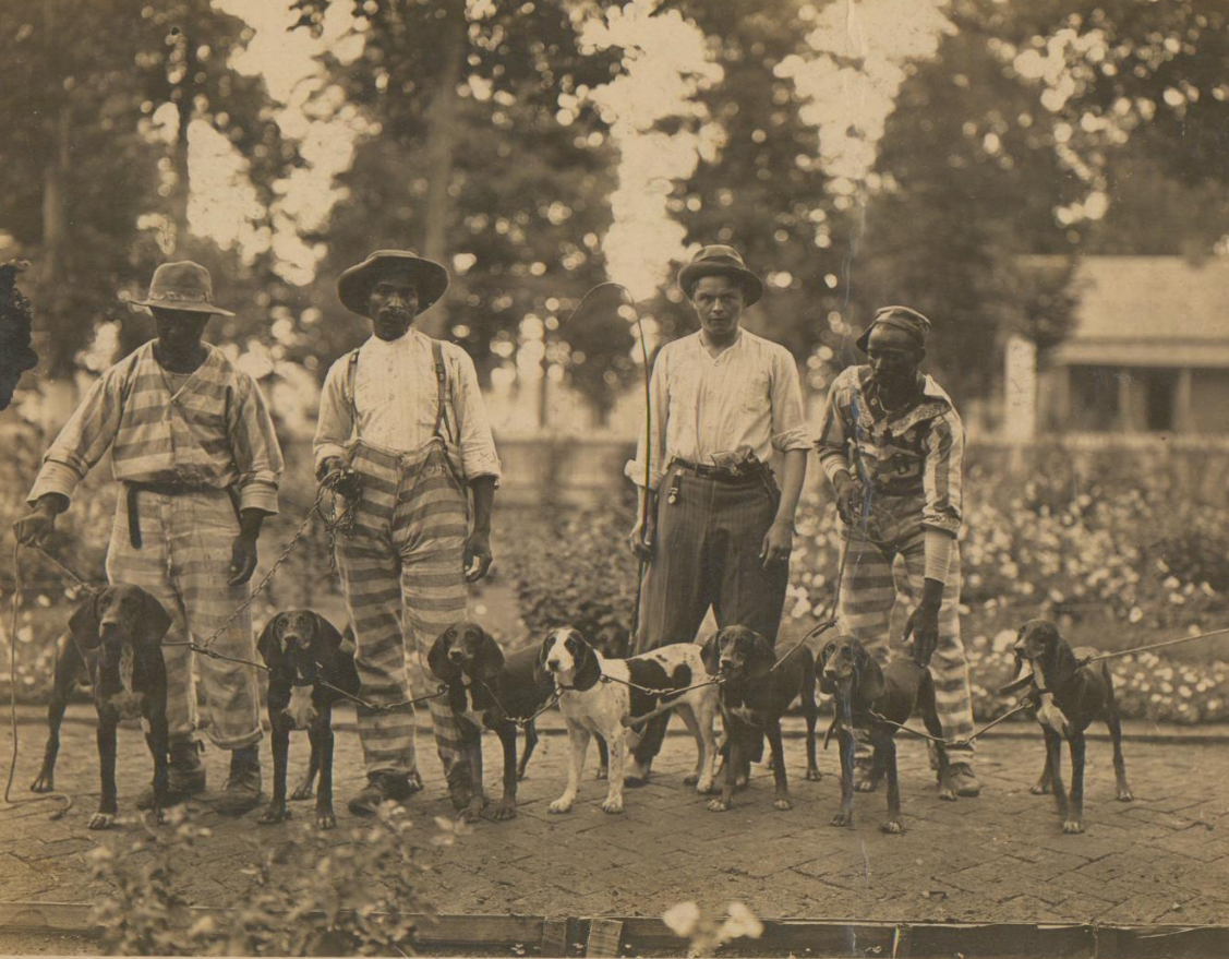 Photograph of incarcerated laborers posing with a pack of hound dogs.