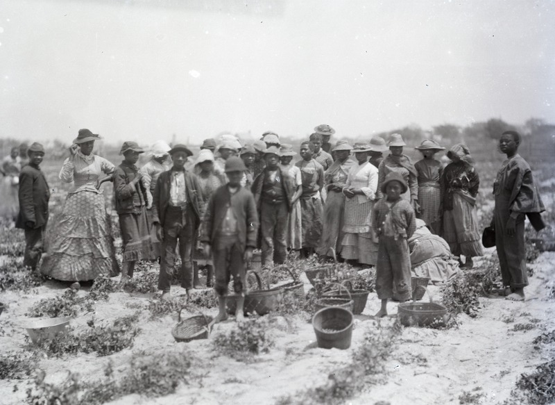 African American farmworkers in Albemarle, North Carolina, 1881