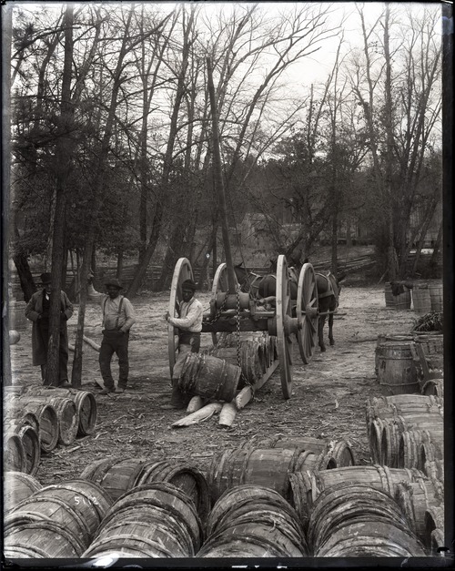 African American man unloading a cart loaded with turpentine barrels.