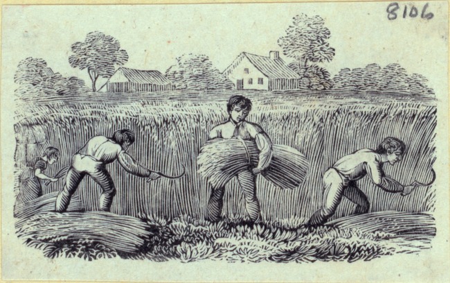 Engraving of four people harvesting wheat.