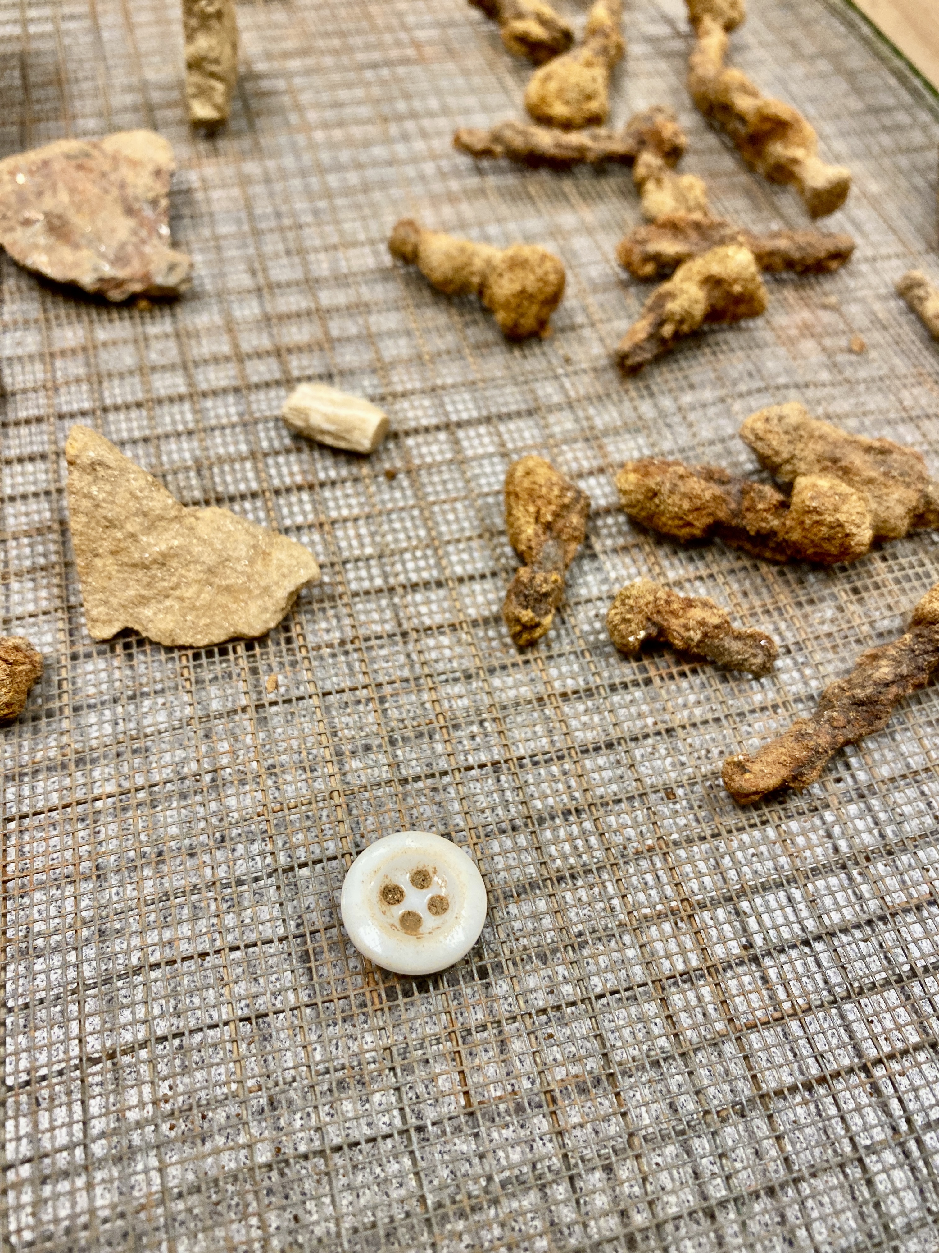 Artifacts found at the Cowee Tunnel Prison Labor Camp, including rusted 19th century iron nails from camp buildings and a ceramic Prosser button, likely from one of the prisoners’ uniforms.