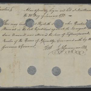 Pension Certificate from the North Carolina Colonial Assembly to Elizabeth Strange, 25 January 1773, page 1.